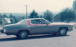 Lost 1974 Road Runner - Big Long Shot-5223791e-35e4-4dec-9d2b-560e7824db7a.jpeg