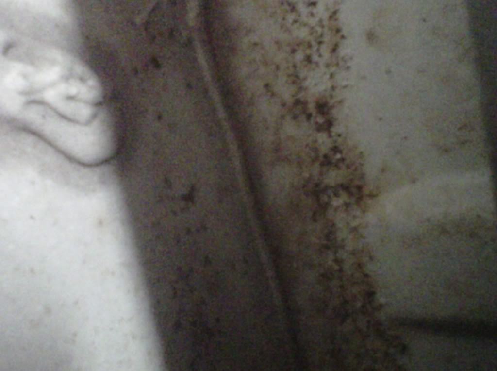 Name:  IMG00308-20110315-2049.jpg
Views: 288
Size:  55.0 KB