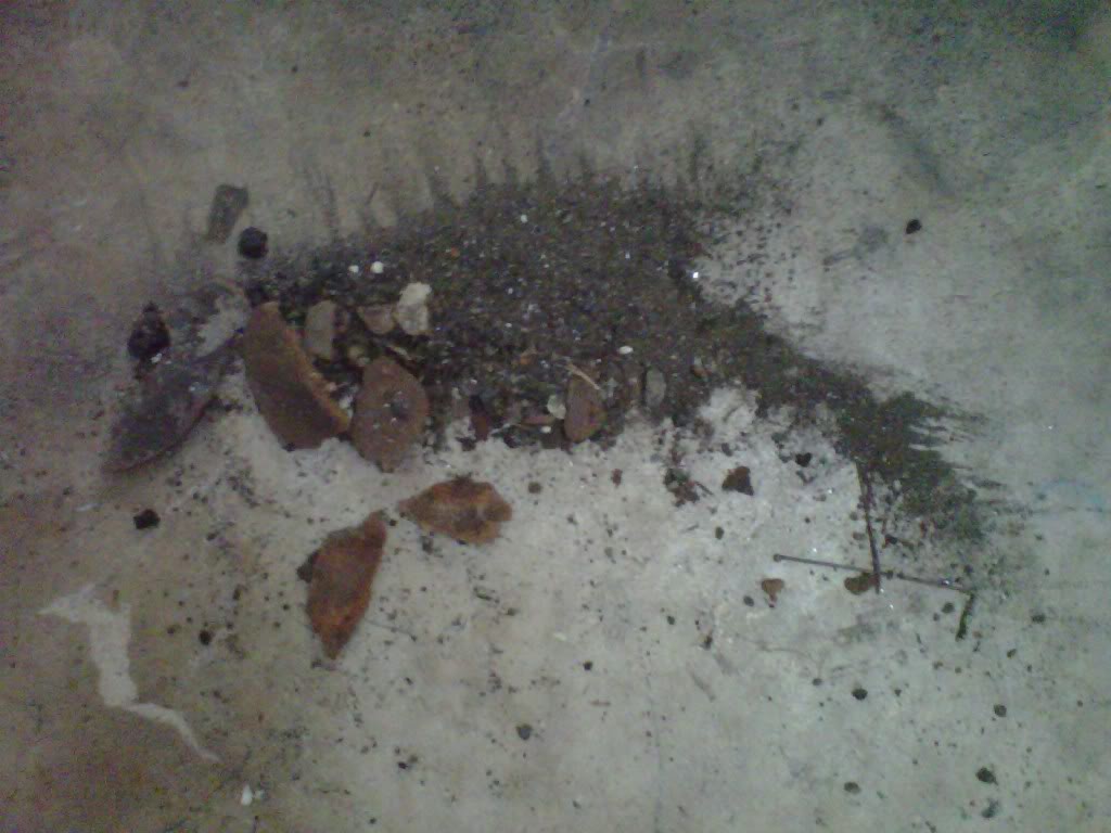 Name:  IMG00310-20110315-2121.jpg
Views: 273
Size:  86.0 KB