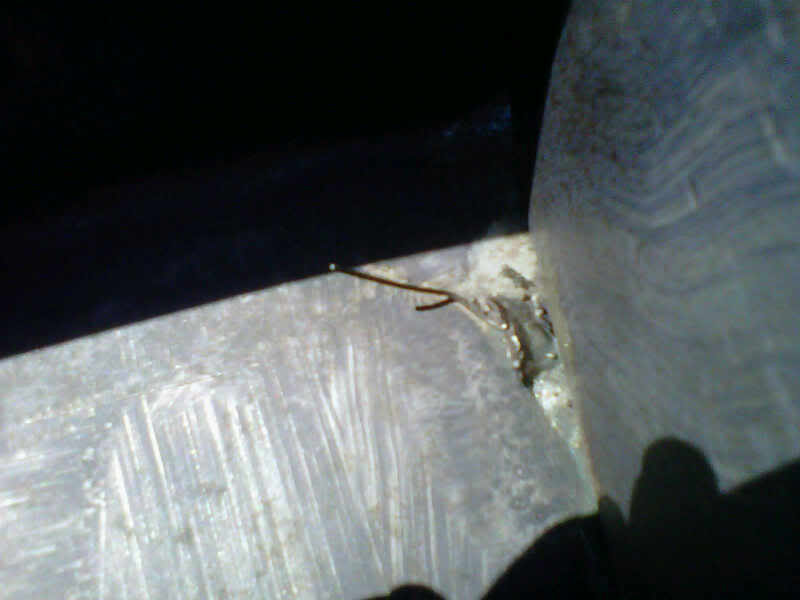 Name:  IMG00396-20101218-1306.jpg
Views: 181
Size:  25.8 KB