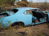 73' Charger in field-charger3.gif