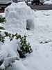 Good Morning-snow-fort-2-480x640-.jpg