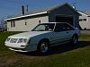 1984 1/2 Mustang GT-350, 20th Anniversary car-dsc00651.jpg