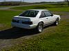 1984 1/2 Mustang GT-350, 20th Anniversary car-dsc00653.jpg