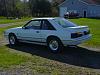 1984 1/2 Mustang GT-350, 20th Anniversary car-dsc00654.jpg