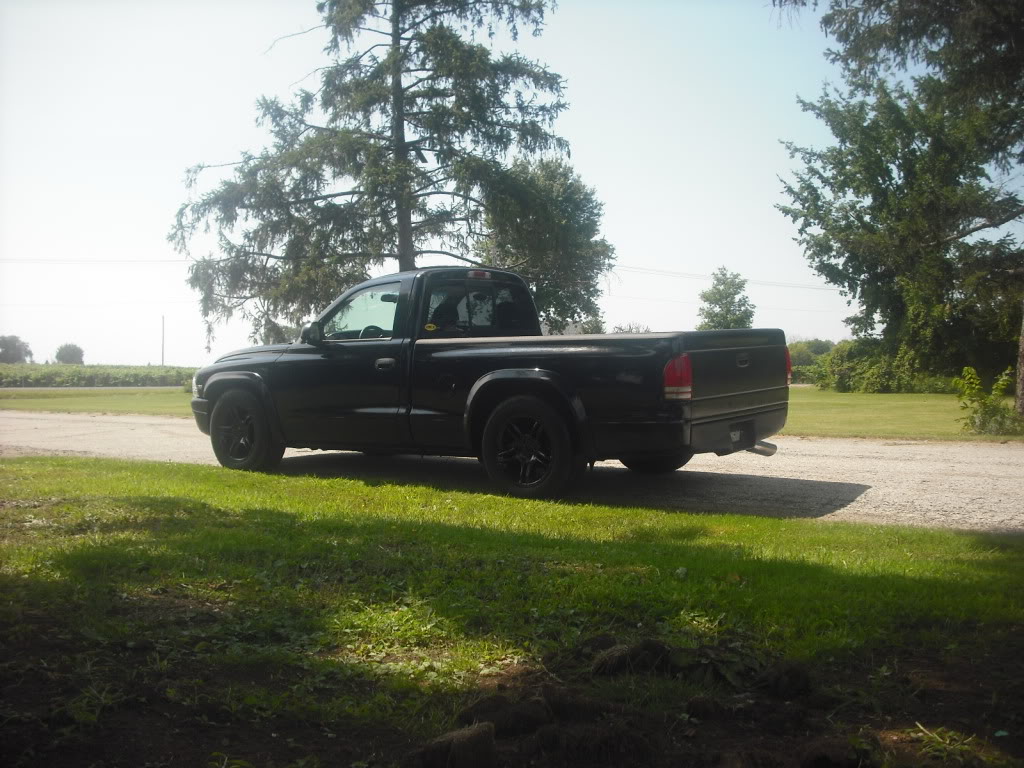 Name:  DSCF0478.jpg
Views: 121
Size:  156.2 KB