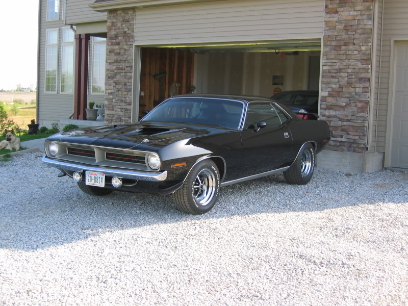 Name:  HIPMoparShow2008001.jpg
Views: 1045
Size:  127.7 KB