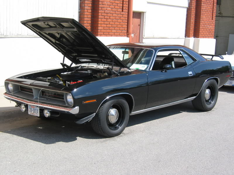 Name:  Americruise016.jpg
Views: 507
Size:  100.1 KB