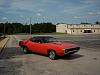 71 roadrunner-100_1555.jpg