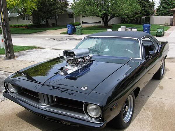 Name:  user8471_pic2815_1292082791.jpg
Views: 128
Size:  57.4 KB