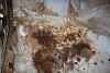 72 Demon Resurrection-img_7024.jpg