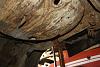 72 Demon Resurrection-img_7041.jpg