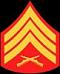 Sgt. Veteran